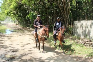 Beach horse back riding with countryside — Guided tour and outdoor activity