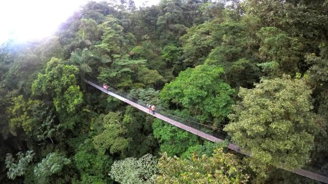Arenal Hanging Bridges Half-Day Tour from La Fortuna — Guided tour and outdoor activity