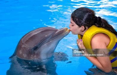 Punta Cana: Dolphin Explorer Park Entry, Swim, or Encounter — Guided tour and outdoor activity