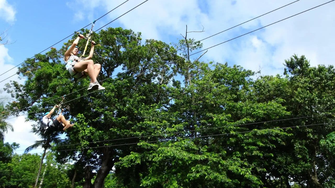 Ride N Zip Adventure in Puerto Plata — Guided tour and outdoor activity