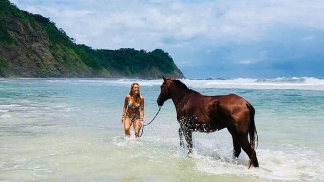 Guanacaste: Safari & Buenavista Beach Horse Riding Tour — Guided tour and outdoor activity
