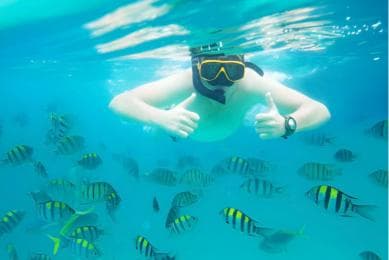Puerto Plata: Snorkeling Excursion to Sosúa Bay — Guided tour and outdoor activity