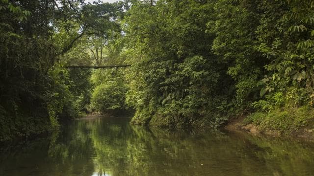 San Jose: San Luis Rainforest and Zipline Tour with Lunch — Guided tour and outdoor activity