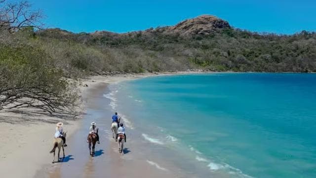 2 Hours Beach Horseback Riding — Guided tour and outdoor activity