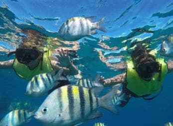 Puerto Plata: Catamaran Snorkeling Trip with Buffet — Guided tour and outdoor activity