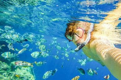 Monkeys and Snorkel Adventure in Sosúa, Puerto Plata — Guided tour and outdoor activity