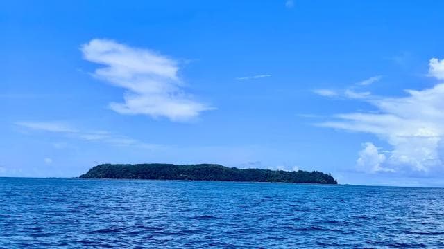 Caño Island Biological Reserve - Snorkeling or Diving — Guided tour and outdoor activity