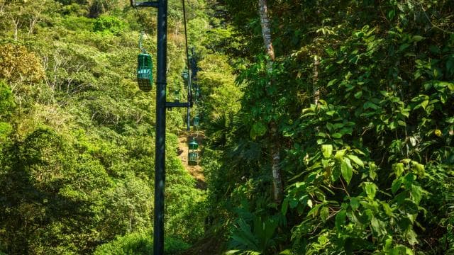 From San Jose: 6-in-1 Rainforest Bridges & Cables Adventure — Guided tour and outdoor activity