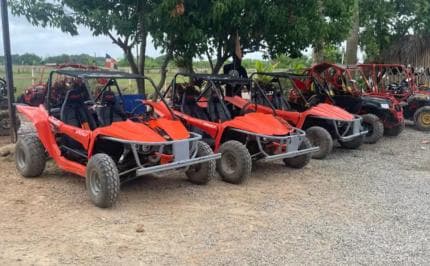 Discover Punta Cana Tour Buggy & ATV Tour Macao Beach Cenote — Guided tour and outdoor activity