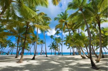 Private: Isla Saona VIP Escape Luxury Beach & Speedboat Tour — Guided tour and outdoor activity