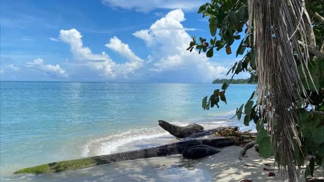 Cahuita: Guided Hike Through Cahuita National Park — Guided tour and outdoor activity