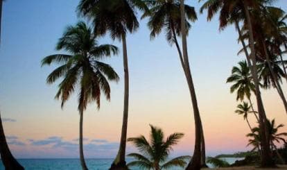 Private Rincón Beach & Bacardi Island from Punta Cana — Guided tour and outdoor activity