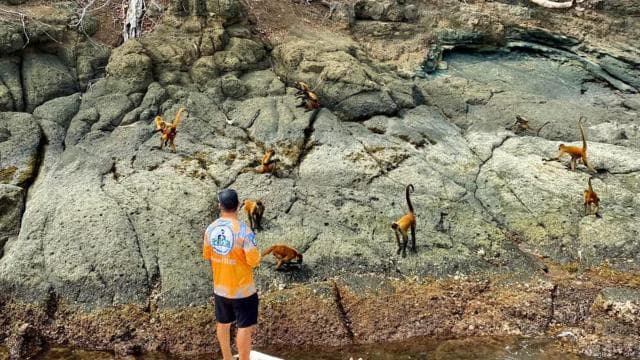 From Puntarenas: Tortuga Island VIP tour Full-Day — Guided tour and outdoor activity