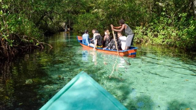 Punta Cana: Samaná Whale Watching and El Limón Day Tour — Guided tour and outdoor activity