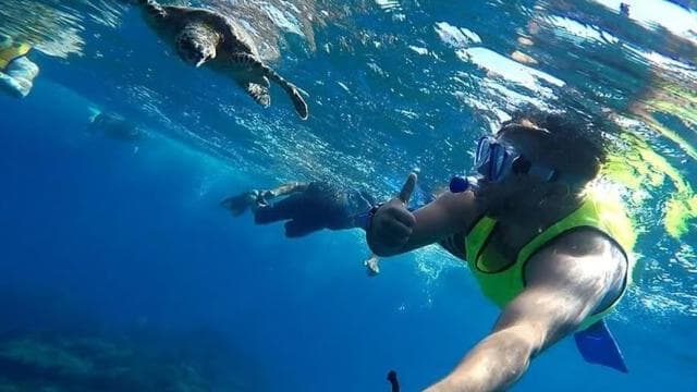 Drake Bay: Snorkeling Tour in Caño Island with Lunch — Guided tour and outdoor activity