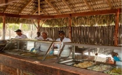 Bayahibe: Saona Island Catamaran Tour with Lunch & Drinks — Guided tour and outdoor activity