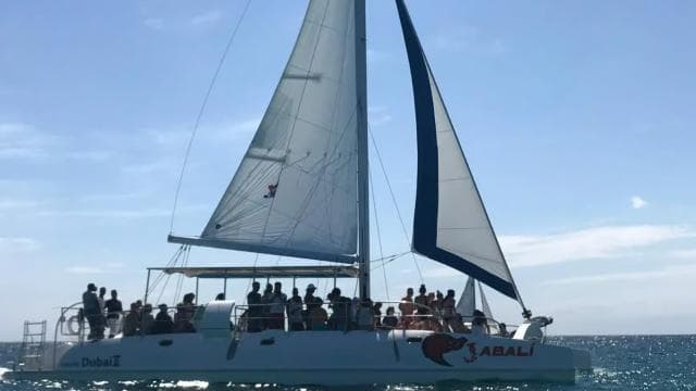 Saona Island Excursion from Punta Cana — Guided tour and outdoor activity