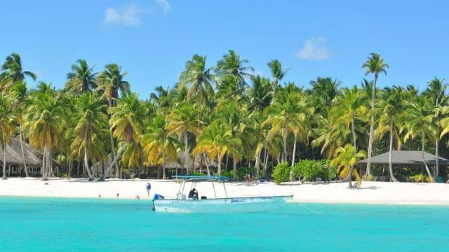 Punta Cana: Saona Island All-Inclusive Day Trip — Guided tour and outdoor activity
