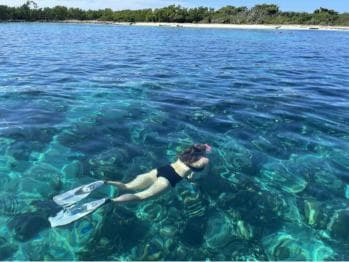 From Punta Cana: Small Group Catalina Island Snorkeling Tour — Guided tour and outdoor activity