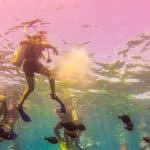 La Romana: Catalina Island Full-Day Snorkeling Tour — Guided tour and outdoor activity