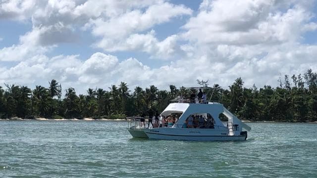 Small-Group Cruising and Snorkeling Catamaran Tour — Guided tour and outdoor activity