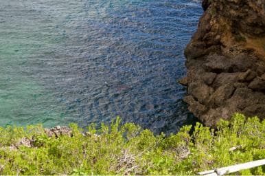 Samana Bay: Cayo Levantado Snorkeling and Kayaking Tour — Guided tour and outdoor activity