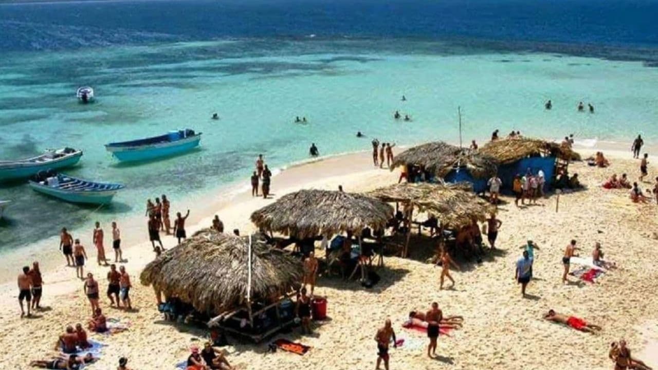 Puerto Plata: Day Trip to Cayo Arena Island by Speedboat — Guided tour and outdoor activity