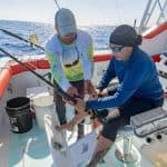 From Punta Cana: Deep Sea Fishing Tour by Boat with Drinks — Guided tour and outdoor activity