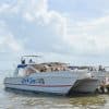 Los Haitises National Park Tour from Samaná Port — Guided tour and outdoor activity