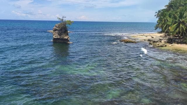 Puerto Viejo Talamanca: Hike through Gandoca Manzanillo Wild Life refuge. — Guided tour and outdoor activity