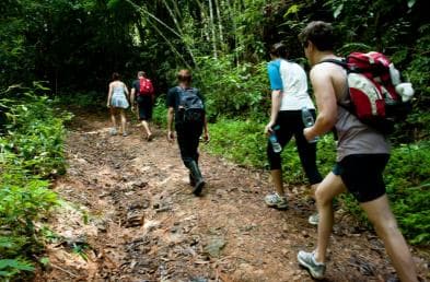 Private: Trekking to Pico Duarte, Caribbean’s Tallest Summit — Guided tour and outdoor activity