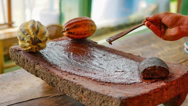 3 in 1 Coffee, Chocolate and Sugar cane — Guided tour and outdoor activity