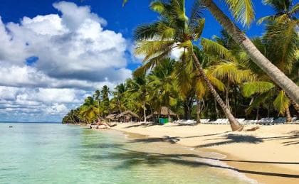 Santo Domingo: Saona Island Day Trip with Lunch and Drinks — Guided tour and outdoor activity