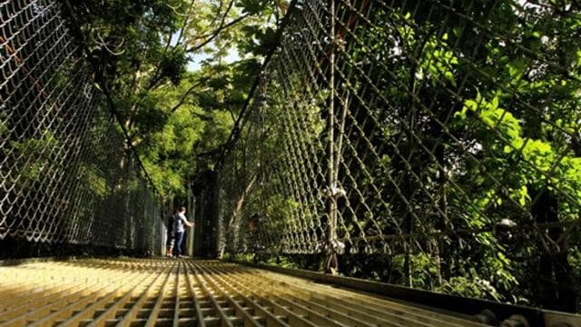 Arenal National Park: Hanging Bridges Small Group Tour — Guided tour and outdoor activity