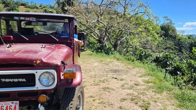 Exploration and Adventure: Toyota Land Cruiser Ride & Hike — Guided tour and outdoor activity