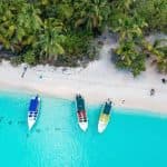 Punta Cana: Saona Island Day Trip with VIP Option — Guided tour and outdoor activity