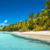 Punta Cana: Saona Island Day Trip with Tickets and Lunch — Guided tour and outdoor activity