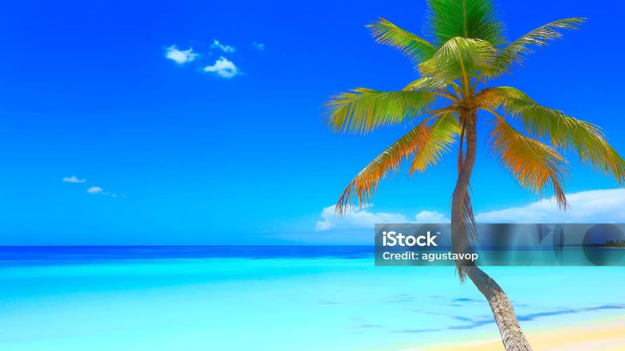 Saona Island - ¡Full Day Open Bar, Lunch and Round Trip! — Guided tour and outdoor activity