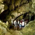Los Haitises National Park + Lunch at Caño Hondo from Sabana de la Mar — Guided tour and outdoor activity