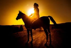 Punta Cana: Sunset Horseback Ride in Macao Beach and Forest — Guided tour and outdoor activity
