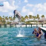 Punta Cana Dolphin Swim Adventure: 40-min Dolphin Experience — Guided tour and outdoor activity
