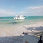Party Boat — Guided tour and outdoor activity