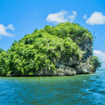 Los Haitises Boat Ride + Caño Hondo Natural Pools — Guided tour and outdoor activity