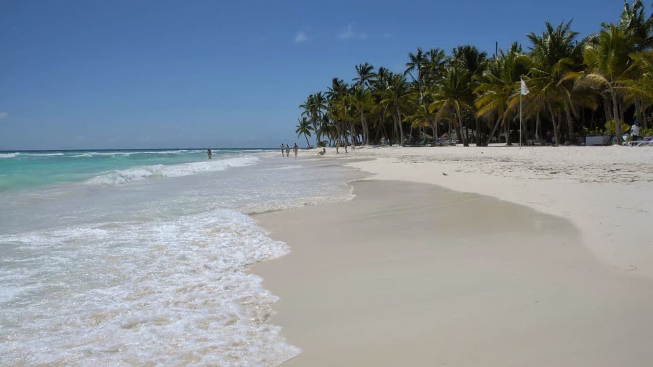Private Transfer from Majestic Elegance to SDQ — Guided tour and outdoor activity