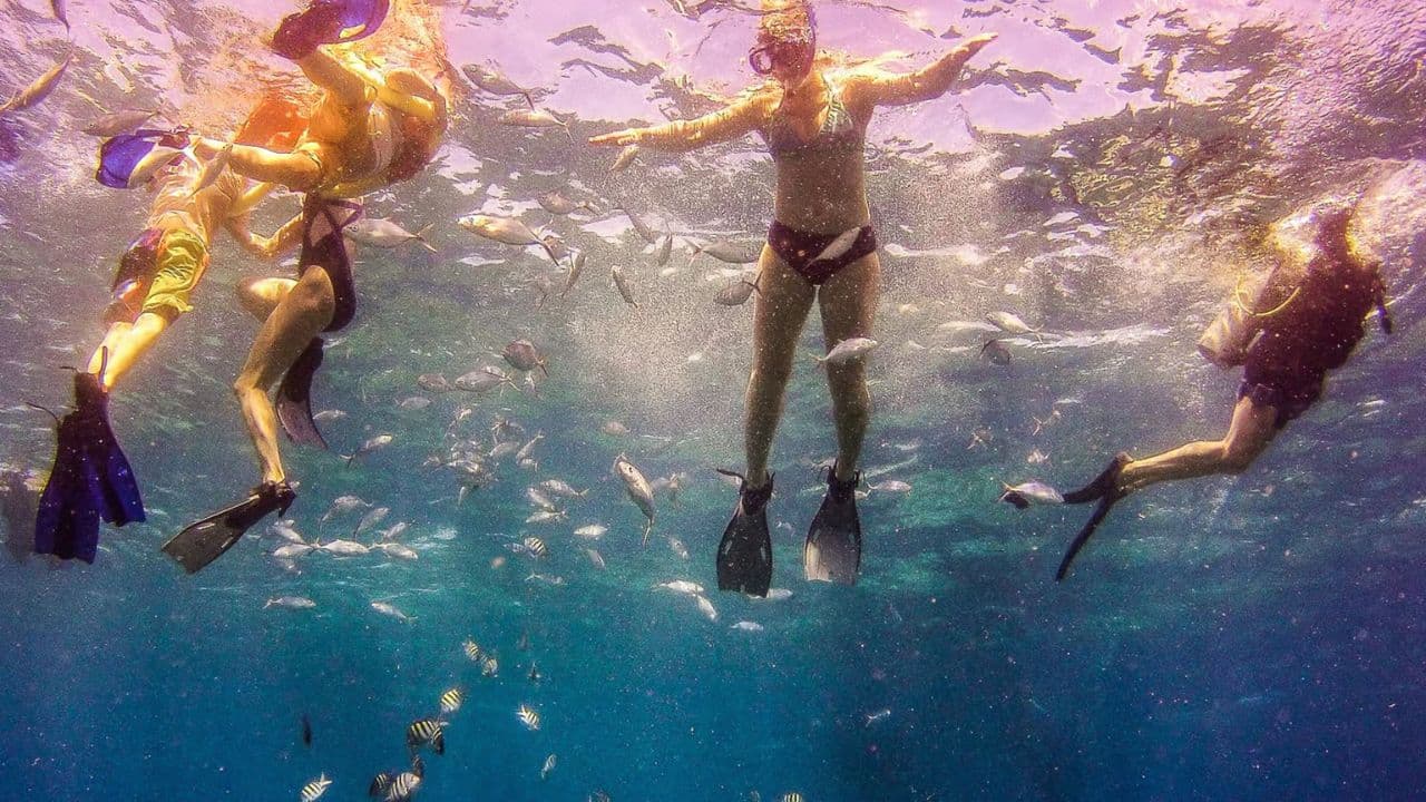 La Romana: Catalina Island Full-Day Snorkeling Tour — Guided tour and outdoor activity