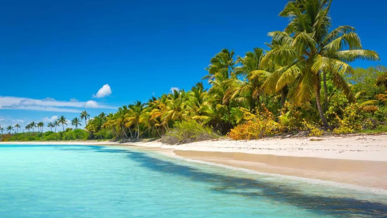 Full-Day Saona Island Tour by Speedboat — Guided tour and outdoor activity