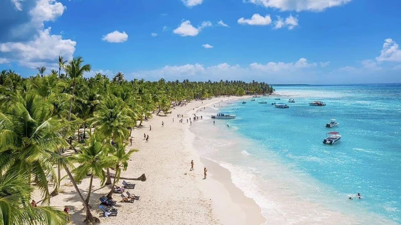 Haitises + Cayo Levantado ( Bacardi Island ) — Guided tour and outdoor activity