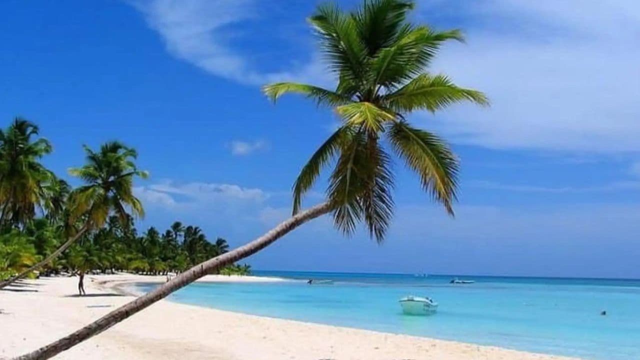 All-Inclusive Saona Island Day Trip from Punta Cana — Guided tour and outdoor activity