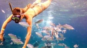 Punta Cana: Catalina Island Snorkeling Tour with Lunch — Guided tour and outdoor activity