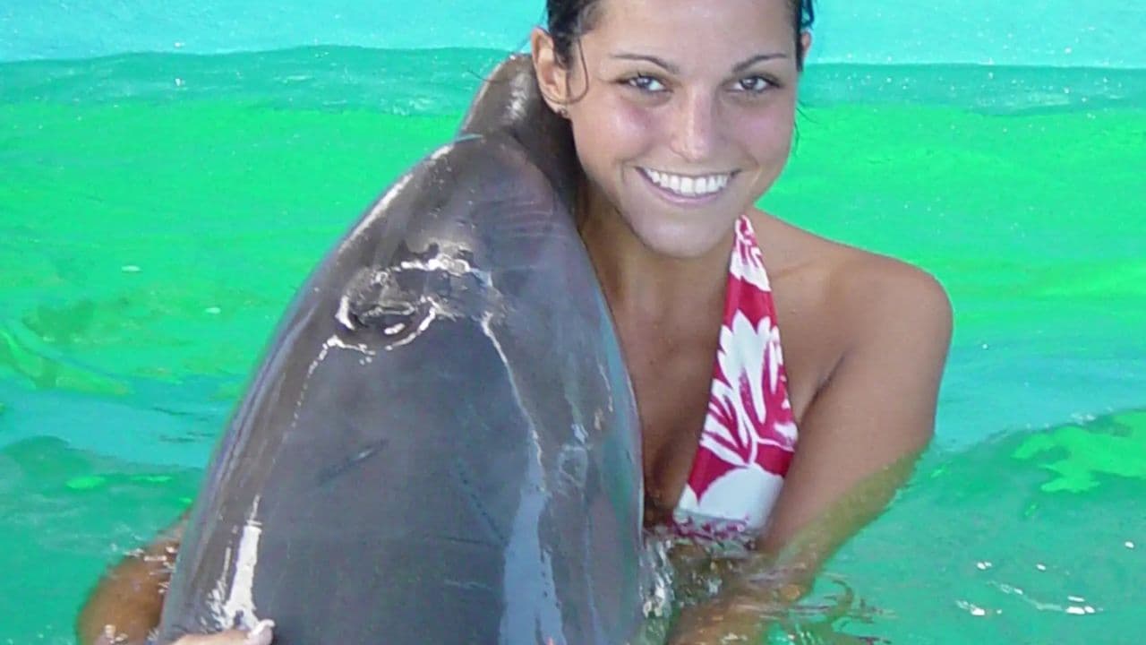 Dolphin Encounter at Ocean World, Puerto Plata — Guided tour and outdoor activity